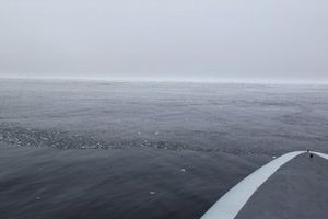 Sjapis i havet