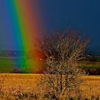 Regnbue over markerne