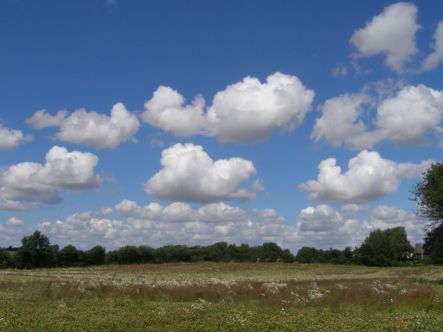 Skytype CL1 Cumulus humilis
