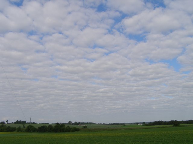Skytype CM3 Altocumulus perlucidus
