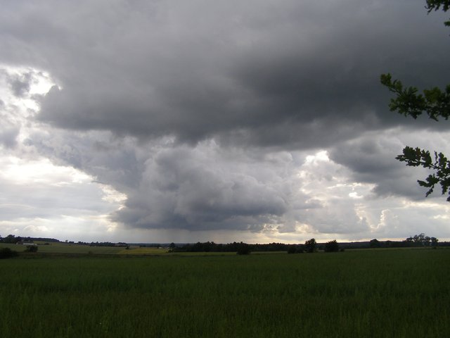 Skytype CM6 Altocumulus cumulogenitus