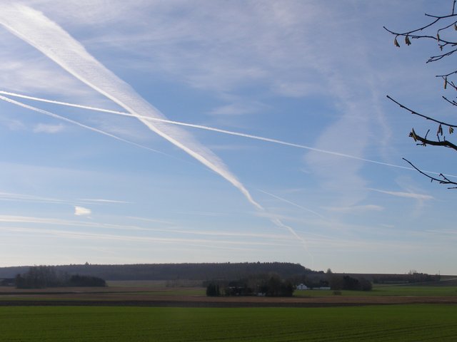 Skytype CH1 Cirrus, hvide iskrystalskyer