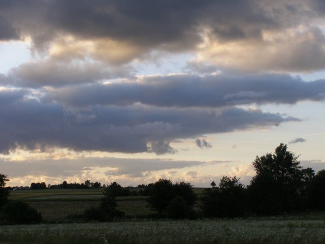 Skytype CL4 Stratocumulus cumulogenitus, bølget lagsky 