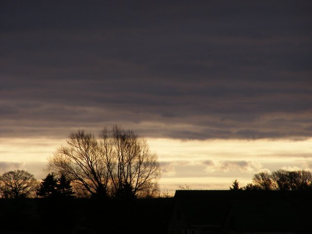 Skytype CL5 Stratocumulus, bølget lagsky