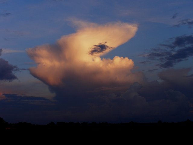 Skytype CL9 Cumulonimbus cappilatus incus, bygesky